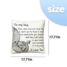 Dad Fathers Day Birthday Gifts for Daddy Thank You Appreciation Gifts for Father Pillowcase Cushion Cover Gift for Papa Father Dad Throw Pillow Cover Home Decoration for Fathers Day