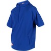 Rawlings Men's Standard Short Sleeve Cage Jacket, Royal Blue