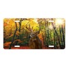 Wildlife Vanity Aluminum Front License Plate (Deer in Fall Forest)