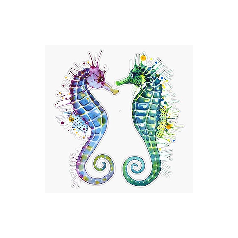 Guardians of The Sea - Seahorse Vinyl Decal Bumper Sticker