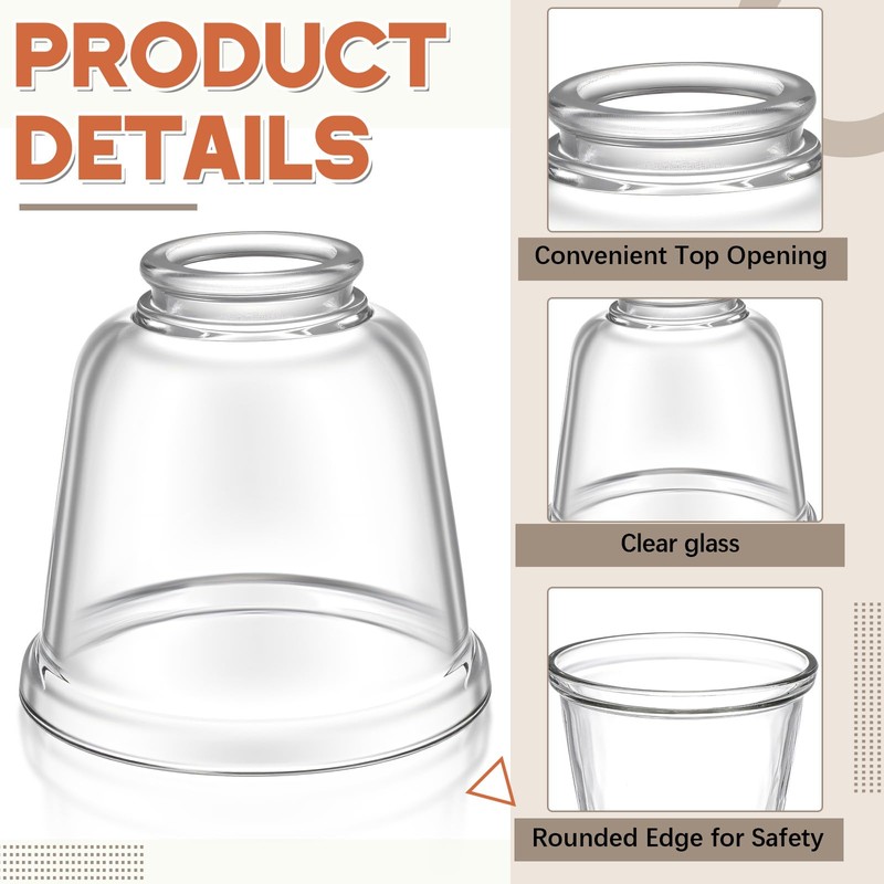 Teenyyou 6 Pcs Clear Glass Globes for Ceiling Fan Lights