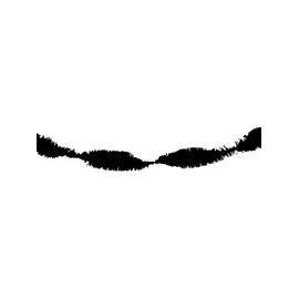 Folat Black Garland Spin Crepe Paper Garland 6 Metres