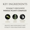 YUNJAC Whole Plant Effect Concentrate (1.35 fl oz) - Instant