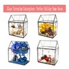 ELEGANTLIFE Glass Geometric Plant Terrarium,Succulent & Air Planter for Home