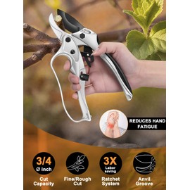 Rotbackmin Ratchet Anvil Pruning Shears for Gardening Heavy Duty, Labor-Saving Design Garden Clippers for Arthritis Weak Hands, 3/4" Cut Capacity Branch Cutter for Tree Trimming, Flower, Rose, Plant