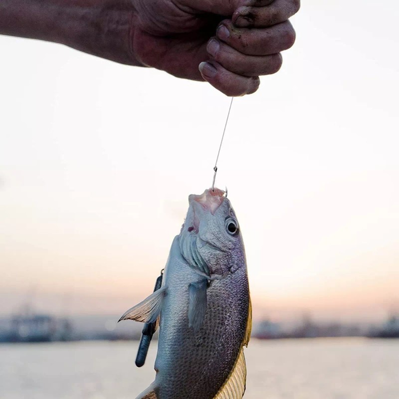 THE9SHOP 500 Piezas Kit De Anzuelos Pesca 3-12# Con Caja
