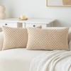2Pcs Cushion Covers 30cm x 50cm, Corduroy Decorative Throw Pillow