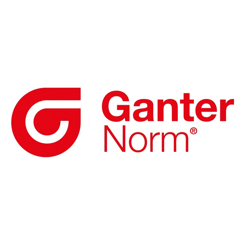 Ganter Standard Elements Hinges (Pair), Black/Matt, Structure Green 237/ZD/40/40 –