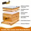 MayBee 8-Frame Beehive Starter Kit, Bee Hive Kit Dipped in