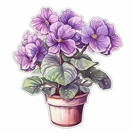 Yoonek Graphics African Violet Plant African Violet Plant Vinyl Decal Sticker for Car, Laptop, Tumbler, More. #0010105-6