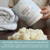 Aloe Vera Plant Soap, 100g