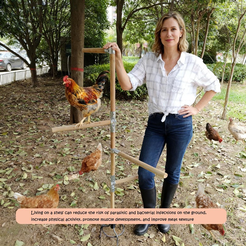 Paiaojia Chicken Perch Toys for Coop & Backyard Chickens, Large