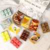 STRN Wax Melts, Soy Wax Cubes Summer Scent Wax Melt