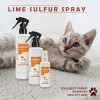 TD Classic Lime Sulfur Spray for Pet Grooming Dry and