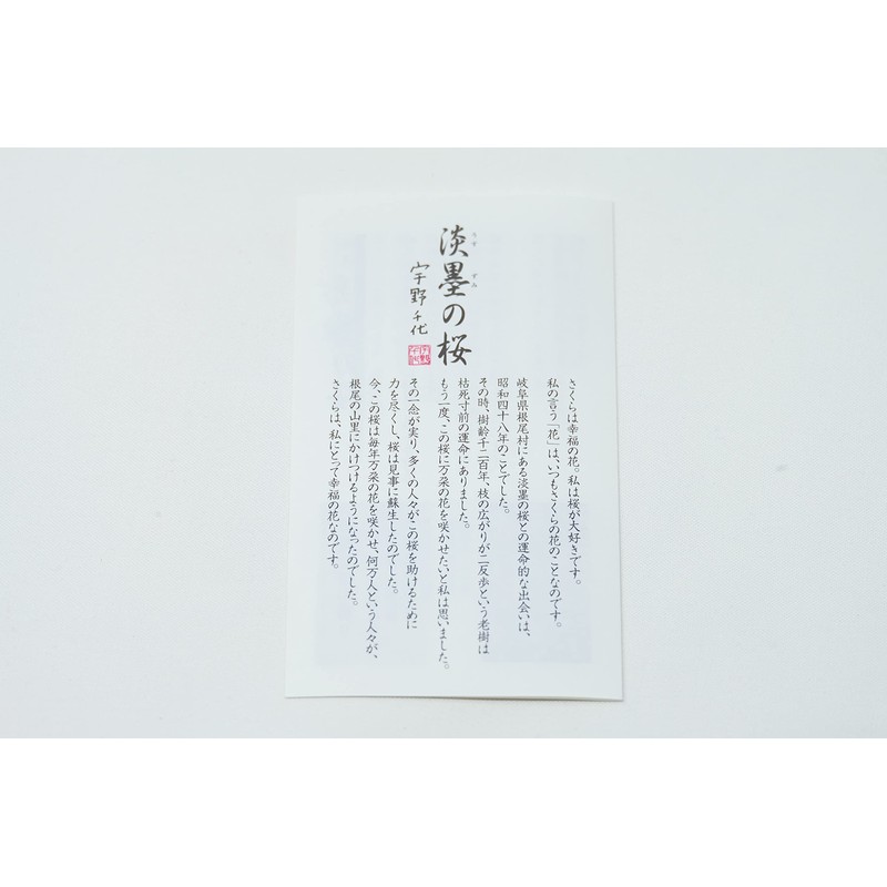 (Chiyo Uno Incense) Specially Selected Thin Ink Cherry Blossom Incense