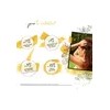 Shampoo Reestructurante Repair Almendra & Cacao Yellow 500ml