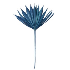 Vickerman 720127-13.75-19.5" Midt Blue Palm Sun Spr 12/bg (H7PPS525) Dried and Preserved Palms