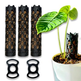 Professional Self-Watering Plant Support Pole for Plants to Climb up - Modular Extendable - Prefilled w/Coco Chips for Climbing Monstera - Beyond Beleaf - Propogation Tool - Moss Pole (Medium)