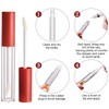 CAIYA Pack of 4 Transparent Lip Gloss Tubes, 2.5 ml