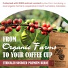 Wild Kopi Luwak, the World’s Most Exclusive Coffee, Sustainably Sourced