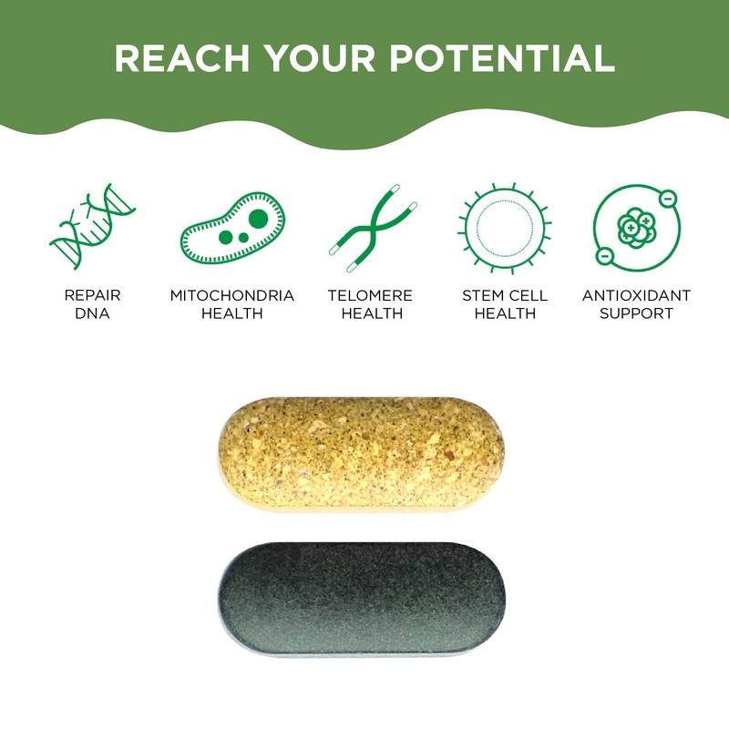 HealthyCell AM PM Nutrition for Day & Night - Blend