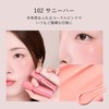 GENTY Melt Har Liquid Cheek Highlighter 102 Sunny Her, 0.1
