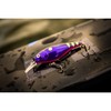 Berkley Flicker Shad Shallow - Anzuelo de Pesca, 1/6 oz,
