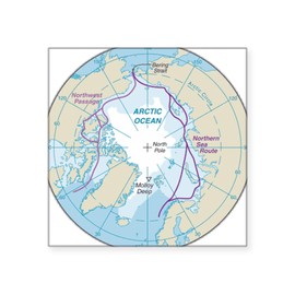 CafePress Arctic Circle Map Sticker Square Bumper Sticker Car Decal