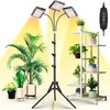 LBW Grow Light with Stand, Tri-Head LED Plant Light for