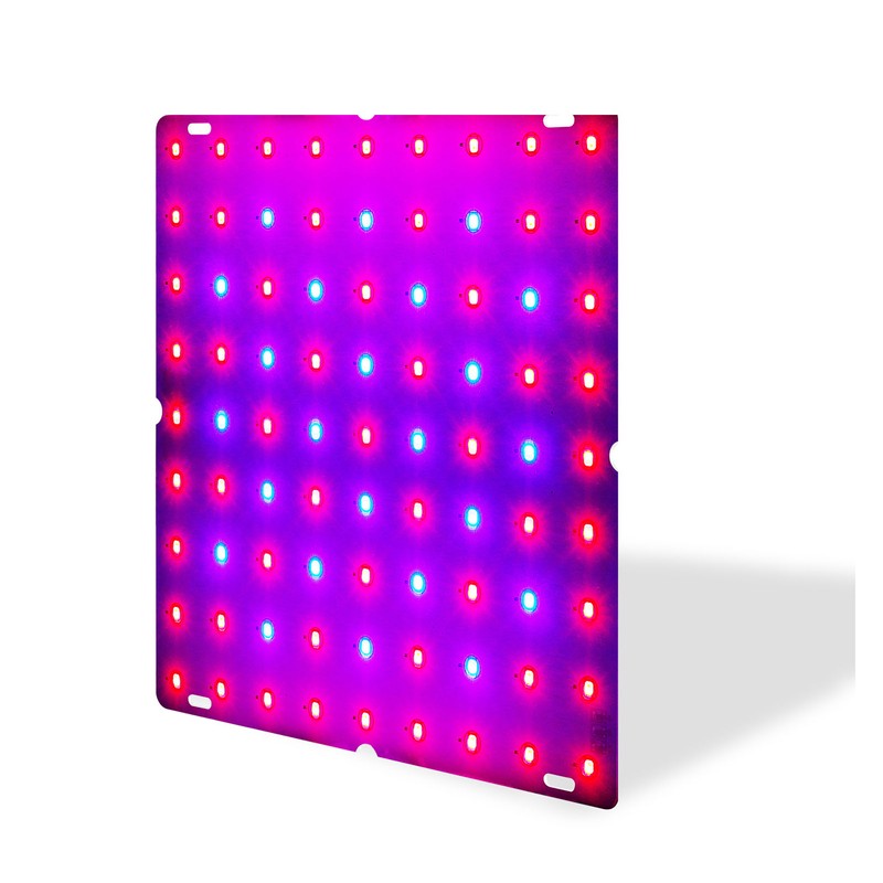 LED Grow Light Red Blue Full Spectrum 81 LEDs Grow