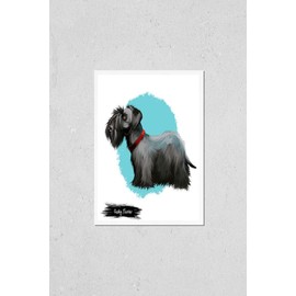 Poster Reproduction of Cesky terrier from Czechoslovakia. Pet with drop ears and short legs bohemian animal wearing red collar on neck. Hunting canine breed isolated on white background digital