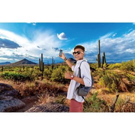 dnldliq Desert Cactus Backdrop 5x3ft Joshua Tree National Park Blue Sky Sand Dunes Sandstone Cactus Photography Background Western Wilderness Green Plants Terrarium Background Banner Photo Props