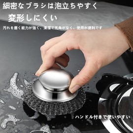 TOAURDA Stainless Steel Scrubbing Scourer (Handle + 4 Replacements, Kitchen Canadian Eagle, Steel Scourer) Strong, Dishwashing, Burning, Scorch Removal, Sasara, Stainless Steel, Sink Cleaning,