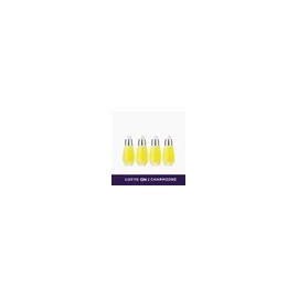 참존 [본사] 오일 인 세럼 x 4개 SET (옵션 선택가능) [Head Office] Oil in Serum x 4 SET (Option available)