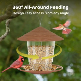 RichBird Window Bird Feeder for Outdoors, Clear Bird Feeders Window Mounted with Strong S Hook for Wild Birds, Cardinal, Bluebird, Brown
