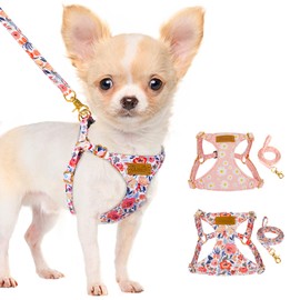 Lukovee Puppy Harness and Leash Set, No Pull Lightweight Pet Harness Vest for Puppy Small and Medium Size Dog, Adjustable Soft Suede Dog Leash Set (3, XS)