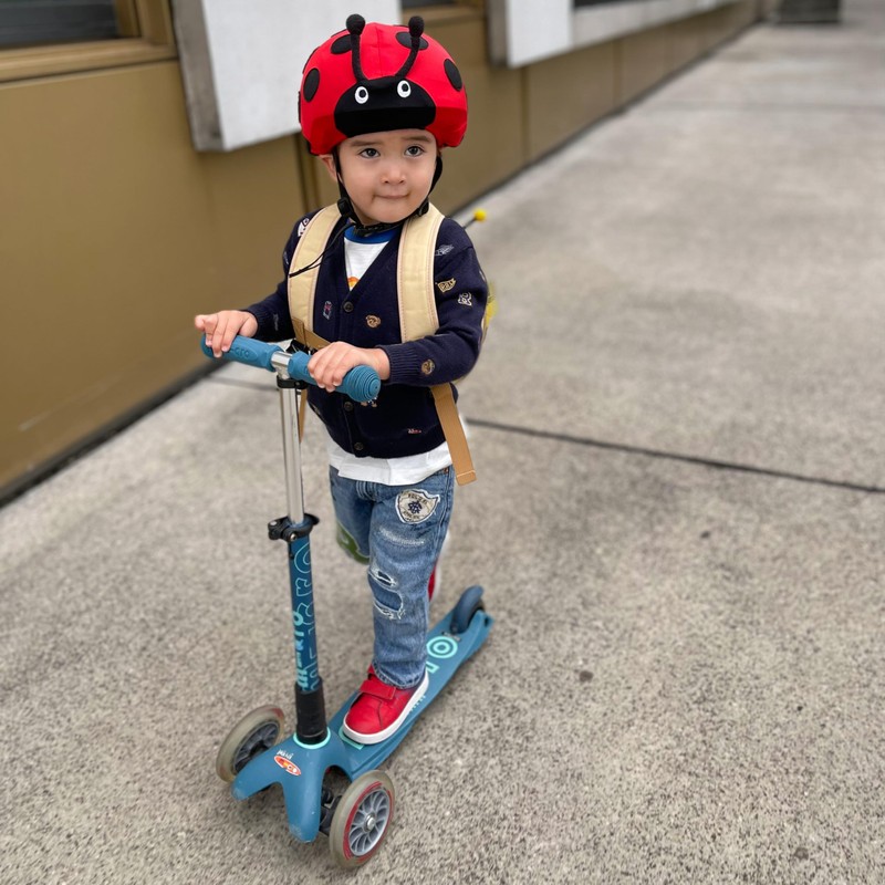 Coolcasc 001 – Helmet Case Ladybird, Universal Size