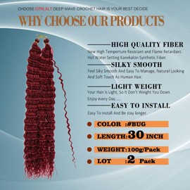 Deep Wave Crochet Hair For Black Women Curly Braiding Hair 30 Inch 2 Packs Ocean Wave Braiding Hair Extensions Soft Crul Crochet Hair For Boho Braids(30inch, 2pack, BUG)…