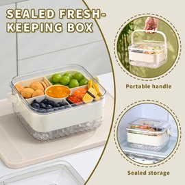 Divided Chilled Serving Tray for Parties,Ice Chilled Party Platter,Ice Serving Bowl with Lid and Handle,Charcuterie Serving Board,Cold Dish Dip for Fruit Seafood Vegetable Shrimp Cocktail Appetizer...