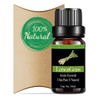 Alluem Aceite Esencial De Lemongrass 100% Natural Y Puro