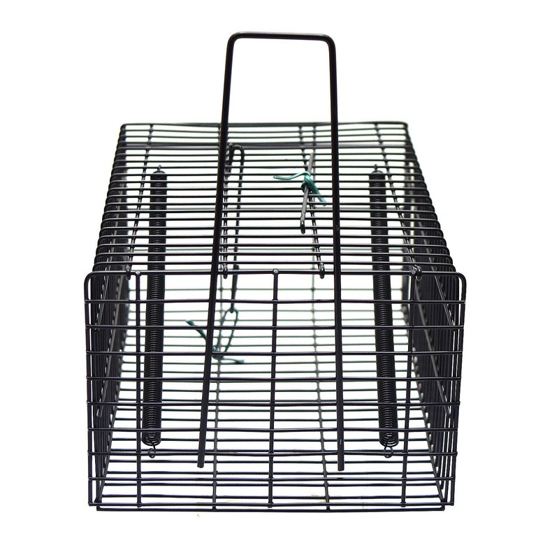 Takagi 4907052749948 Mouse Catcher, Square, Small, Black, Repeated Use