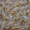 100 pcs Cat Nail Caps | Cat Claw Covers |