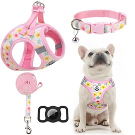 EXPAWLORER Small Dog Harness and Leash Set - Cute Puppy Harness Leash Dog Collar with AirTag Holder Silicone Case, Soft Padded Step in Pet Vest Reflective for Outdoor Walking, Floral S