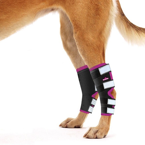 NeoAlly Dog Back Leg Braces [Long Version] Canine Hind Hock