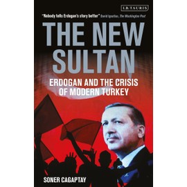 The New Sultan: Erdogan and the Crisis of Modern Turkey