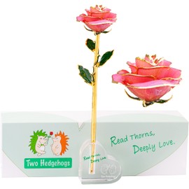 Two Hedgehogs Real Rose Dipped 24K Gold, Anniversary Valentines Gift for Wife, with Crystal Stand (Vintage Red Opening Rose)