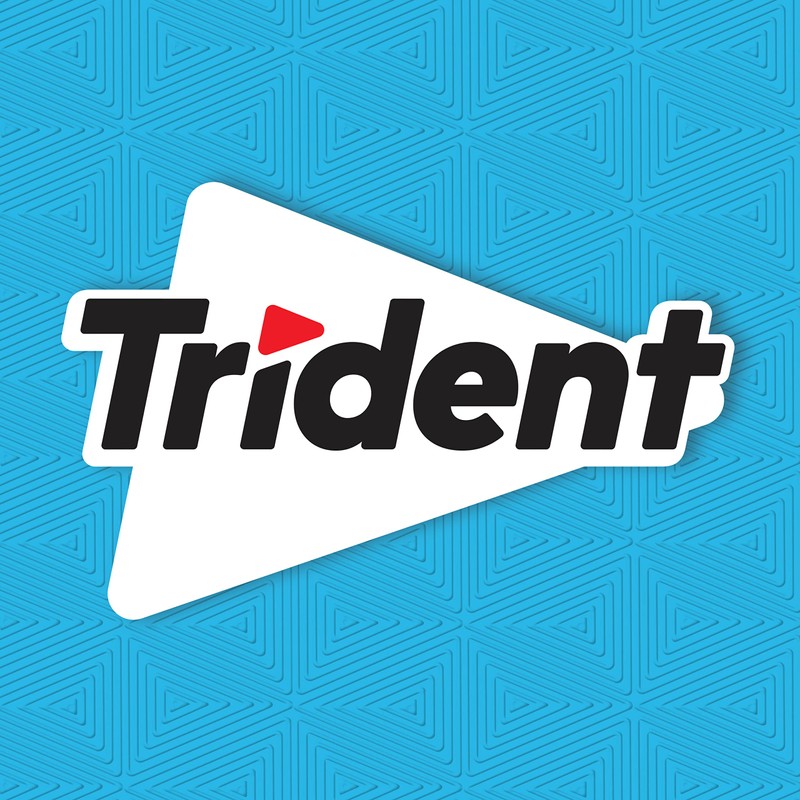 Trident Wintergreen Sugar-Free Chewing Gum, 12 Packs of 14 Pieces