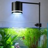 HITOP Clip-On Aquarium Spotlight for 30-55cm Reef/Freshwater Tanks, Fish Tank
