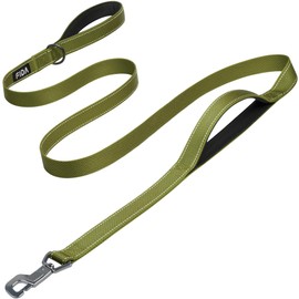 Fida Heavy Duty Dog Lead for Medium/Large Dogs, 1.8 m / 6 ft Double Handle Dog Lead for More Control, Reflective Dog Leads for Daily Walks & Training (Army Green)