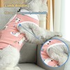 CGLRybO Cat Professional Recovery Suit for Abdominal Wounds or Skin